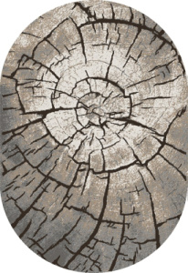 Фото 46215_45154_O