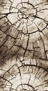 Фото 15851_10842_R