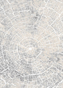 Фото 22114_25364_N