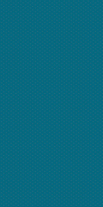 SEGURA_API_RUN:20260826_132220_images